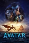 Avatar The Way of Water 2022 BluRay 1080p DTS-HD MA 5.1 x264-MgB