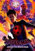 Spider-Man.Across.the.Spider-Verse.2023.720p.MA.WEB-DL.MULTi.AAC5.1.H.264-DeepCooL